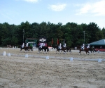 Quadrillie der Deutschen Meister 2009