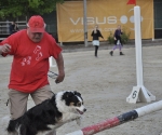 Jump und Hund